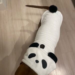 Panda Dog Costume - White and Black